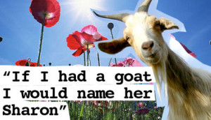 ... rest, check out my Tumblr page: nikolej.tumblr.com/tagged/Fun_Quotes