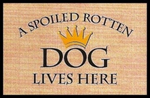SPOILED ROTTEN DOG LIVES HERE'