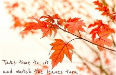 harvestmonth #inspiration #quotes #fall More
