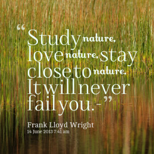 Quotes Picture: study nature, love nature, stay close to nature it ...