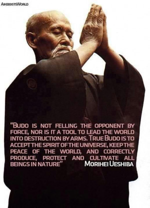 True budo is to accept the spirit of the universe - Morihei Ueshiba