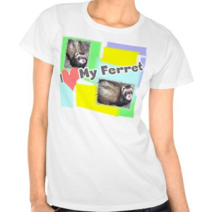 cute_ferret_pictures_sayings_and_quotes_shirts ...