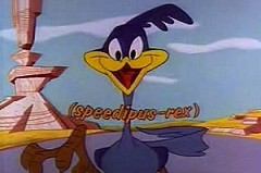 Speedipus Rex