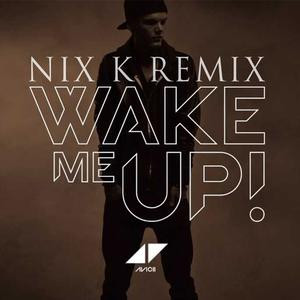 Avicii - Wake Me Up (Nix K Remix)