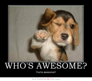 Who's awesome? You're awesome. Picture Quote #2