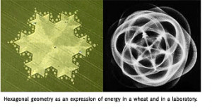 Crop Circle Mystery Solved (For Real)!!