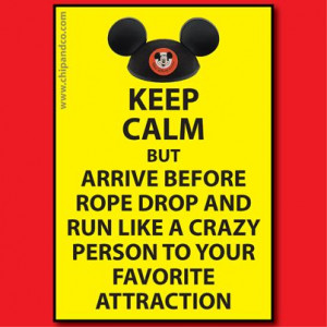 Keep calm but arrive before rope drop and run like a crazy person to ...