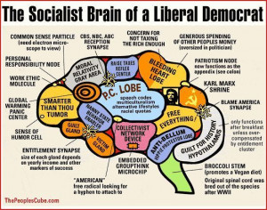 Republican Party Liberal Brain