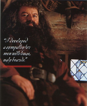 Hagrid Funny