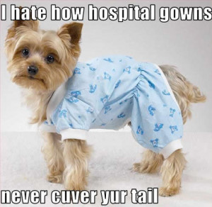 Heath Insurance, Medical and Malpractice Humor