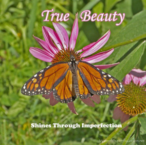 Monarch Butterfly Picture w/ Inspirational Quote about Beauty