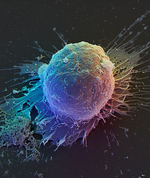 This is what we've been waiting for. Amy Comstock Rick of the ...