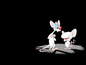Free Wallpapers Pinky and the Brain | Photo Gallery, Picture Gallery ...