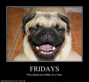 Finally Friday Dog Friday And Finally Friday