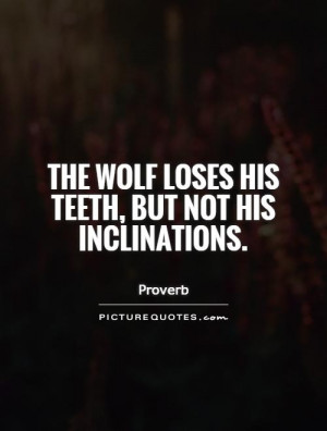 Wolf Quotes Proverb Quotes