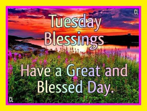 Tuesday Blessings : Have a Great and Blessed Day!