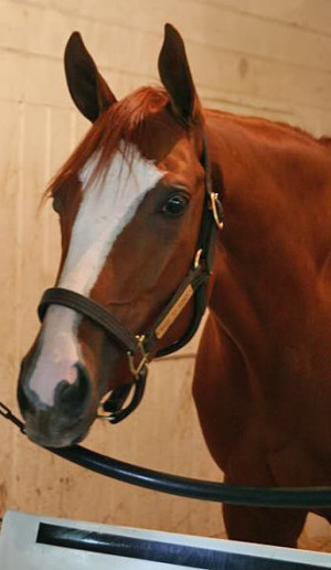 From other angles, it looks like the white reaches almost to her ...