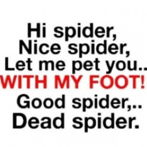 Here spider spider...