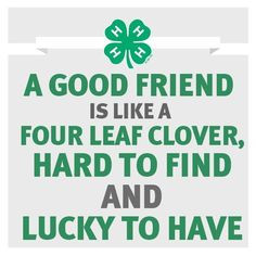 ... clovers love my friends 4 h ffa 4h friendsforlik 4h hors 4