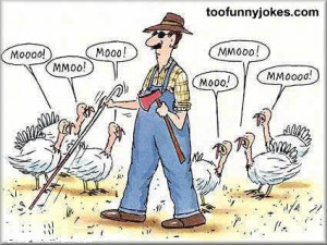 FARMER AND TURKEYS, FRIDAY FUNNY