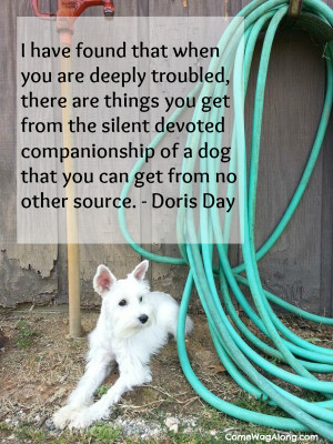 ... of a dog that you can get from no other source.” - Doris Day