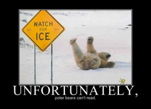... funny! Yes I hope the polar bear is ok first, but the quote and the