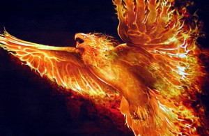 Phoenix Bird Fire Mythological