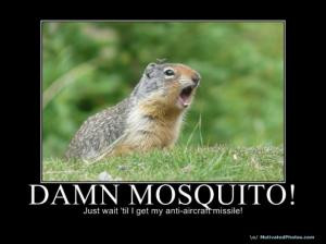 raindrop hitting a mosquito is like a human being hit by a bus!