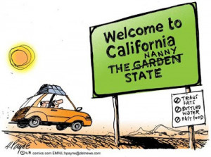 Have the Voters in California had Enough ?