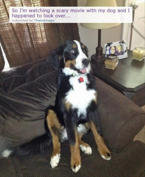 tagged with Funny Pictures - 36 Pics