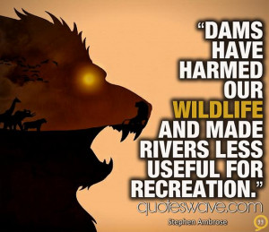 Dams have harmed our wildlife and made rivers less useful for ...