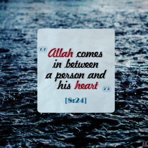 islamic-quotes: O you who have believed, respond to Allah and to the ...