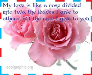 My love is like a rose divided into two, the leaves I give to others ...