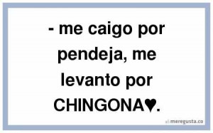 me caigo por pendeja me levanto por CHINGONA