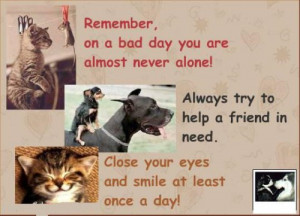 more quotes pictures under advice quotes html code for picture