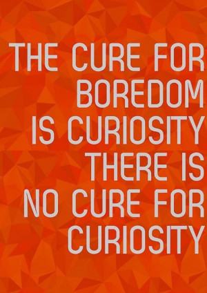 Curiosity quotes 12