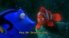 Finding Nemo Bloat Quotes Like. grumpy gills finding