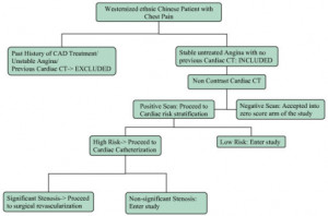 ACSM Risk Stratification Flow Chart