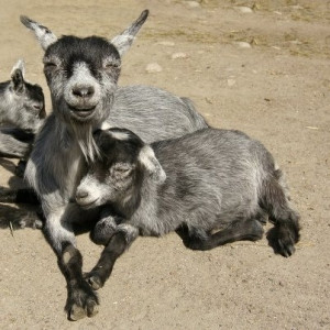 Uploaded to Pinterest