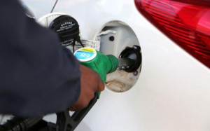 Hamilton Bancorp Inc (HBK) Share Price