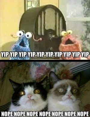 Grumpy Cat Funny and Cartoon