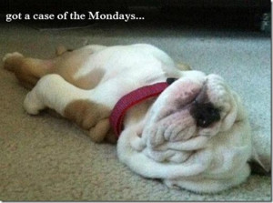 got a case of the Mondays…