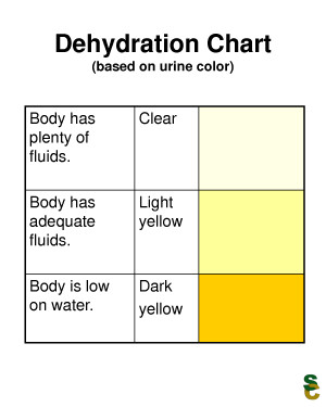 Dehydration Urine Color Chart