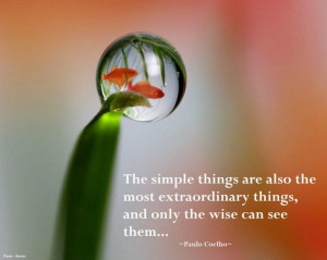 The simple things are also the most extraordinary things