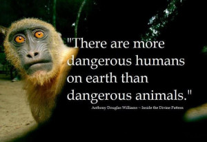 There are more dangerous humans on earth than dangerous animals
