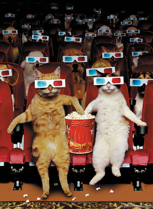 cats in movie theater wearing 3D glasses and eating popcorn in a funny ...
