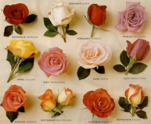 Roses for every month