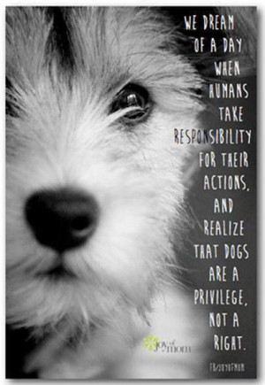 Dogs are a privilege, not a right.