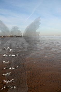 in the sand reminded me of angel feathers love this angels feathers ...