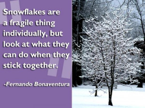Inspirational Quotes About Snow Flakes